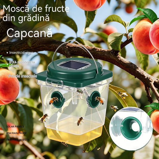 🐝☀️ Capcană pentru viespi alimentată cu energie solară pentru terasă și grădină 🔋🌿 – eficientă, reîncărcabilă și rezistentă la intemperii – fără substanțe chimice, pentru suprafețe de până la 500 m² – profitați acum de ofertă!