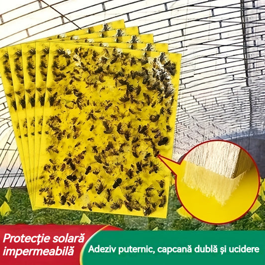📢💥【50 de coli】Hârtie lipicioasă cu două fețe galbene pentru insecte, autocolante pentru prinderea insectelor de câmp de grădină de legume agricole