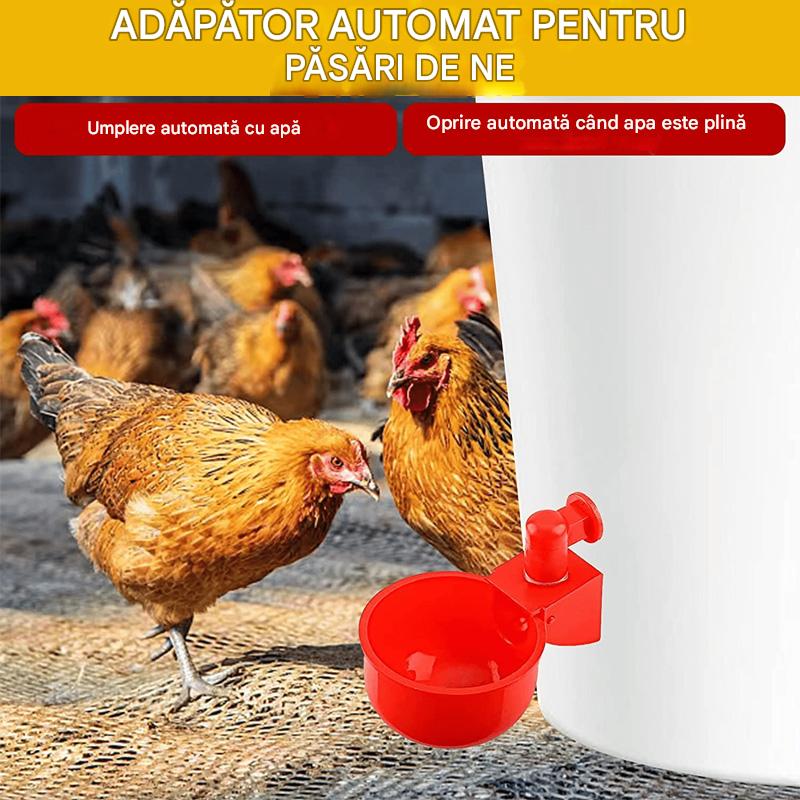 [Pachet de 20] Adăpătoare automate pentru păsări, adaugă automat apă pentru o comoditate sporită