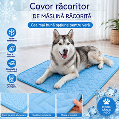 🧊⚡ Reduceri de vară! Covoraș răcoritor pentru animale de companie (fără apă) – Material Oxford respirabil, potrivit pentru orice culcuș sau cușcă.