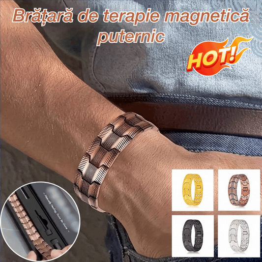 ✨✨ Brățară magnetică detașabilă