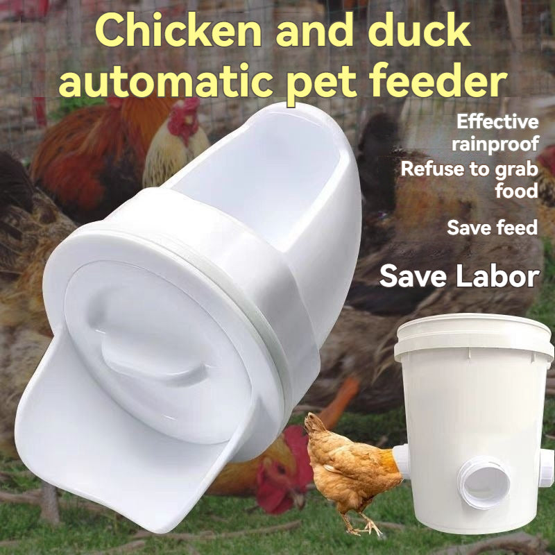 🐓 【5 alimentatoare + Perforator】Hrănitor automat pentru pui, rață și gâscă