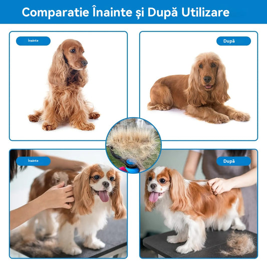 🐾 Instrument profesional pentru îndepărtarea părului mort de la câini și pisici: delicat, eficient și pentru o casă fără păr ✨💖