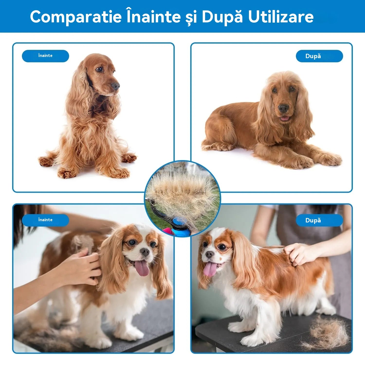 🐾 Instrument profesional pentru îndepărtarea părului mort de la câini și pisici: delicat, eficient și pentru o casă fără păr ✨💖