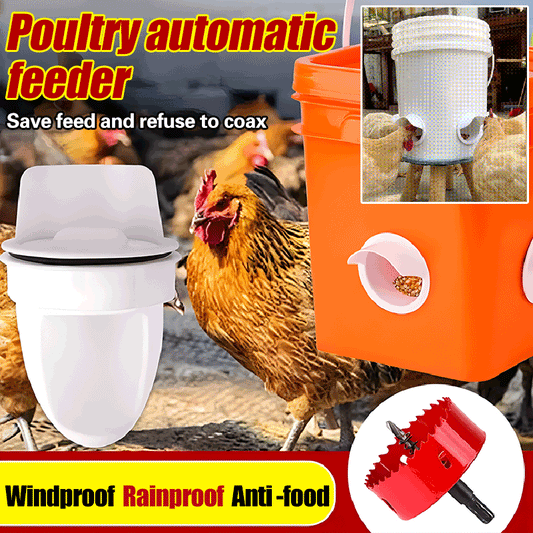 🐓 【5 alimentatoare + Perforator】Hrănitor automat pentru pui, rață și gâscă